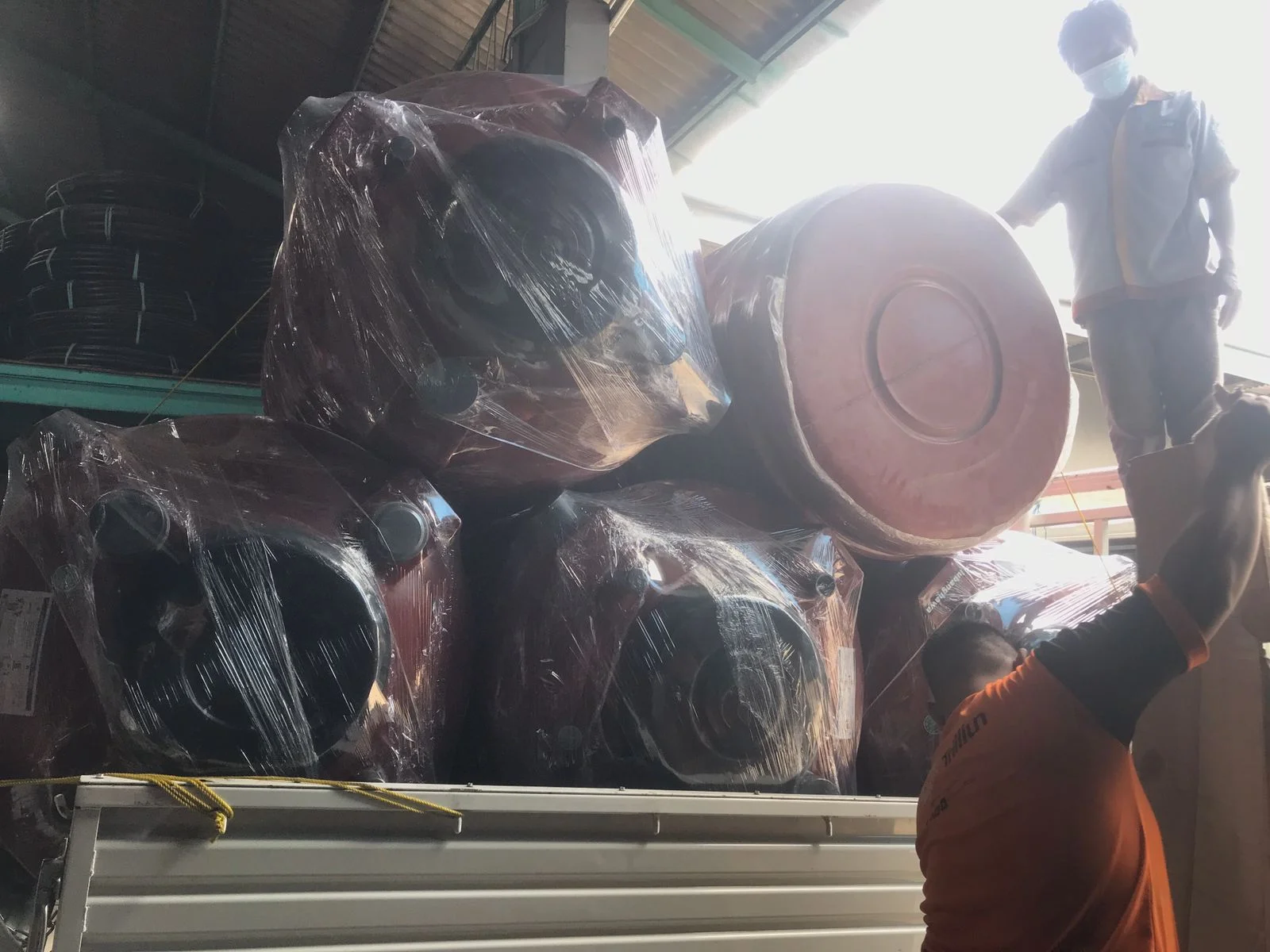 Dokumentasi BIOVISI 8